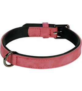 HOND HALSBAND MET NEOPREEN DELU ROOD M 36-44CM 20MM