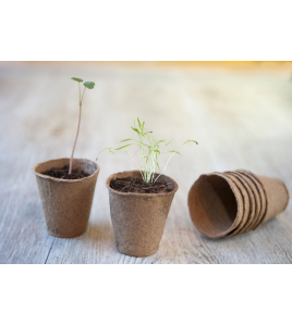 BIO.AFBREEKBARE KWEEKPOTJES H7 X &#216;10,5 CM SET A 3 STUKS