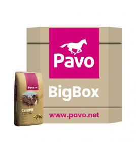 PAVO CEREVIT BIG BOX 600 PAVO CEREVIT BIG BOX 600