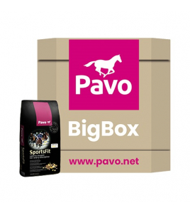 PAVO SPORTSFIT BIG BOX 450 PAVO SPORTSFIT BIG BOX 450