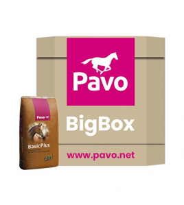 PAVO BASIC+ BIG BOX 725 PAVO BASIC+ BIG BOX 725