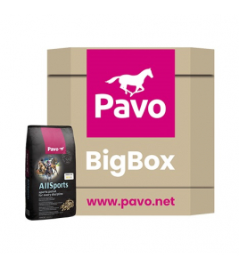 PAVO ALL SPORTS BIG BOX 725 PAVO ALL SPORTS BIG BOX 725