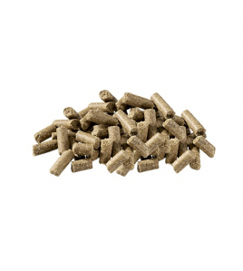 PAVO ALL SPORTS BIG BOX 725 PAVO ALL SPORTS BIG BOX 725