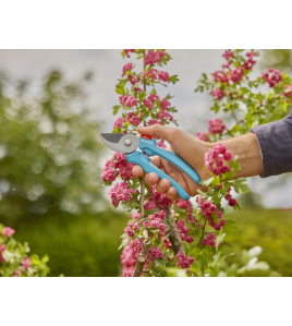 SNOEISCHAAR EASYCUT SNOEISCHAAR EASYCUT