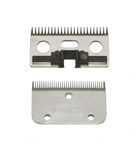 MESSENSET CONSTANTA RODEO (24/35TDS)