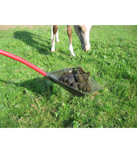 GOLDEN GARK ROOD 18 TANDS 35 CM, GEBOGEN ALUMINIUM STEEL EN D-GREEP GOLDEN GARK ROOD 18 TANDS 35 CM, GEBOGEN ALUMINIUM STEEL EN D-GREEP