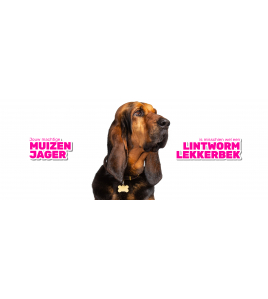 MILBEMAX TABLETTEN HOND GROOT 4 TABL. 5-75KG 4 ST