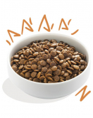 E&C HOND AD BROK KIP 2,5 KG