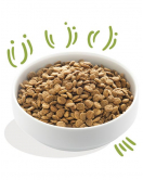 E&C HOND AD BROK LAM 2,5 KG