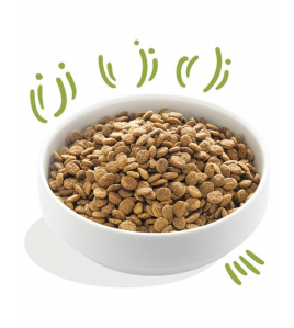 E&amp;C HOND AD BROK LAM 2,5 KG