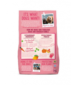 E&amp;C HOND PUP BROK EEND 700 GR