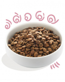 E&C HOND PUP BROK EEND 700 GR