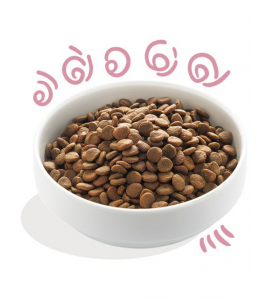 E&amp;C HOND PUP BROK EEND 700 GR