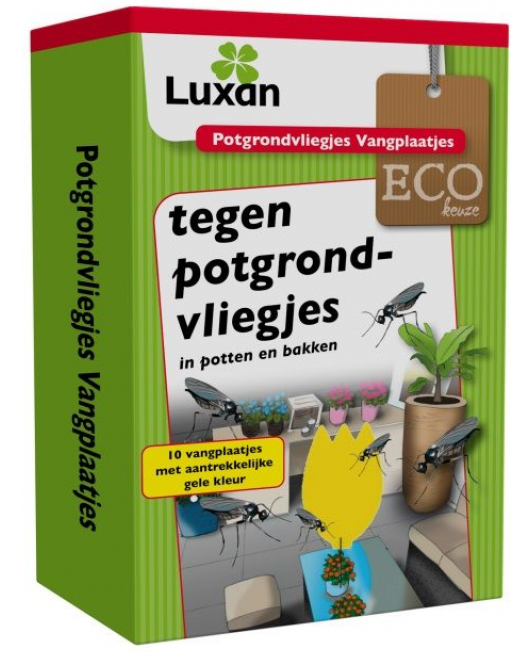 POTGRONDVLIEGJES VANGPLAATJES (10 ST) NIEUW
