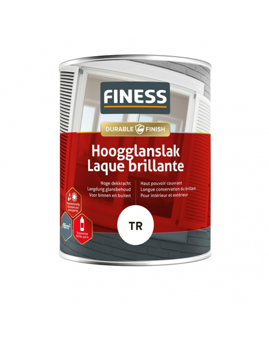 FINESS HOOGGLANSLAK 1 LTR BASIS TR