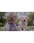 MILBEMAX TABLETTEN PUPPY/KLEINE HOND <5KG 4 TABL. MILBEMAX TABLETTEN PUPPY/KLEINE HOND <5KG 4 TABL.