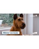 MILBEMAX TABLETTEN PUPPY/KLEINE HOND <5KG 4 TABL. MILBEMAX TABLETTEN PUPPY/KLEINE HOND <5KG 4 TABL.
