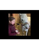 LUCKY HORSE UNICORN HORSE TREATS