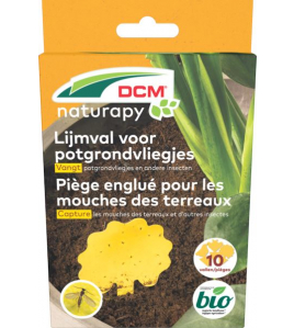 DCM LIJMVAL VOOR POTGRONDVLIEGJES 10 ST