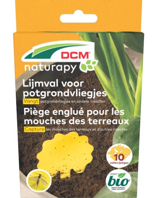 DCM LIJMVAL VOOR POTGRONDVLIEGJES 10 ST