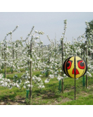 HAWK EYES VOGELVERSCHRIKKER HAWK EYES VOGELVERSCHRIKKER