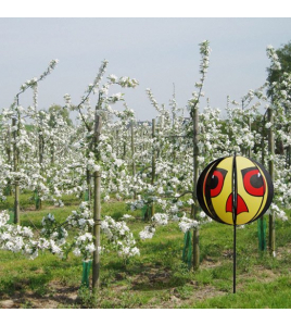 HAWK EYES VOGELVERSCHRIKKER