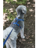 HOND LOOPLIJN ZIGGI BLAUW 1,3M 20MM