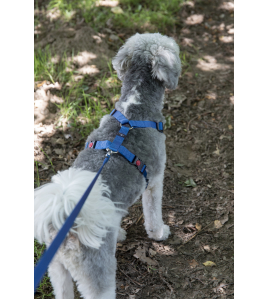 HOND LOOPLIJN ZIGGI BLAUW 1,3M 20MM