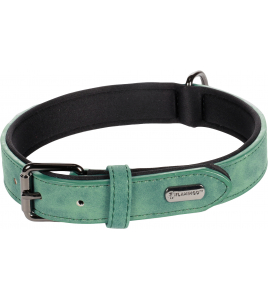 HOND HALSBAND MET NEOPREEN DELU GROEN M / L 38-48CM 25MM