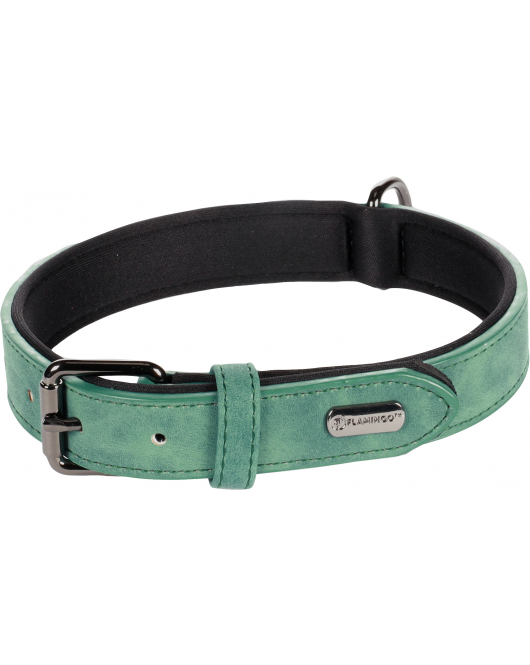 HOND HALSBAND MET NEOPREEN DELU GROEN M / L 38-48CM 25MM