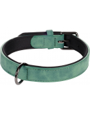 HOND HALSBAND MET NEOPREEN DELU GROEN M / L 38-48CM 25MM