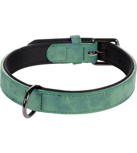 HOND HALSBAND MET NEOPREEN DELU GROEN M / L 38-48CM 25MM