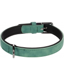 HOND HALSBAND MET NEOPREEN DELU GROEN M 36-44CM 20MM