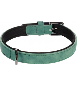 HOND HALSBAND MET NEOPREEN DELU GROEN M 36-44CM 20MM