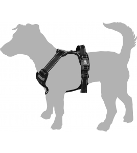 HOND HARNAS BALOU JUNGLE CAMOUFLAGE S 31-55CM 40-55CM 20MM