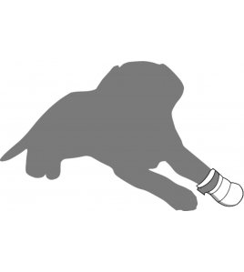 POOTBESCHERMER CLAWI M - 1ST POOTBESCHERMER CLAWI M - 1ST