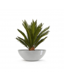 VIENNA 70 WHITE GREY VIENNA 70 WHITE GREY