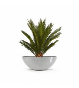 VIENNA 70 WHITE GREY VIENNA 70 WHITE GREY