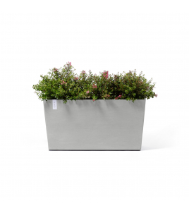 PARIS WHEELS 100 WHITE GREY PARIS WHEELS 100 WHITE GREY