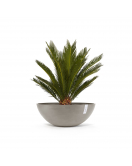 VIENNA 70 TAUPE VIENNA 70 TAUPE