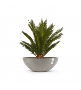 VIENNA 70 TAUPE VIENNA 70 TAUPE