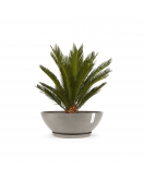 VIENNA 70 TAUPE VIENNA 70 TAUPE