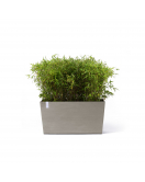 PARIS WHEELS 100 TAUPE PARIS WHEELS 100 TAUPE