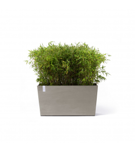 PARIS WHEELS 100 TAUPE PARIS WHEELS 100 TAUPE