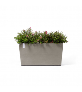 PARIS WHEELS 100 TAUPE PARIS WHEELS 100 TAUPE