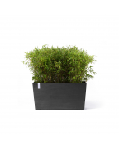 PARIS WHEELS 100 DARK GREY