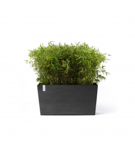 PARIS WHEELS 100 DARK GREY PARIS WHEELS 100 DARK GREY