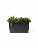 PARIS WHEELS 100 DARK GREY