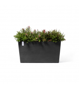 PARIS WHEELS 100 DARK GREY PARIS WHEELS 100 DARK GREY