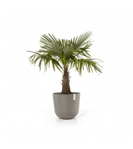 OSLO 55 TAUPE OSLO 55 TAUPE